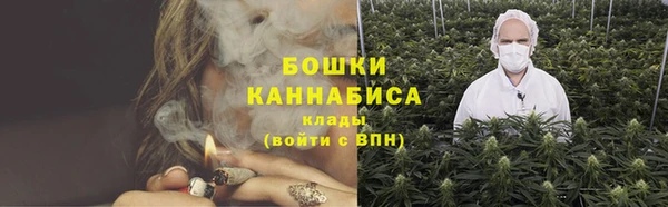 бошки Пересвет