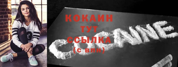 бошки Пересвет