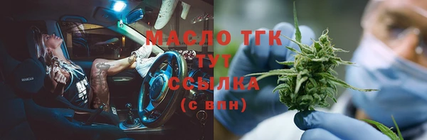бошки Пересвет