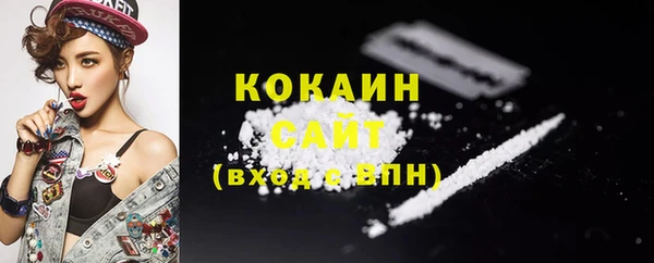 стафф Арсеньев