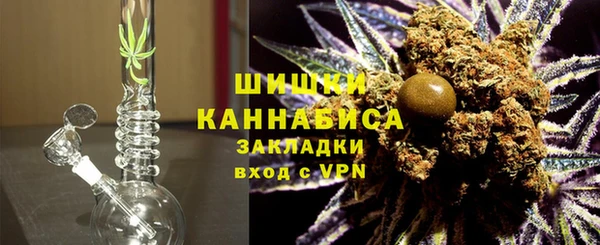 ГАЛЛЮЦИНОГЕННЫЕ ГРИБЫ Пестово