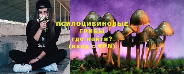 стафф Арсеньев